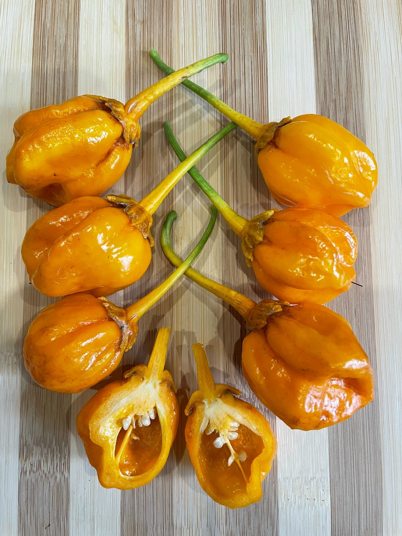 Семена острого перца 7 Pot Bubblegum Yellow