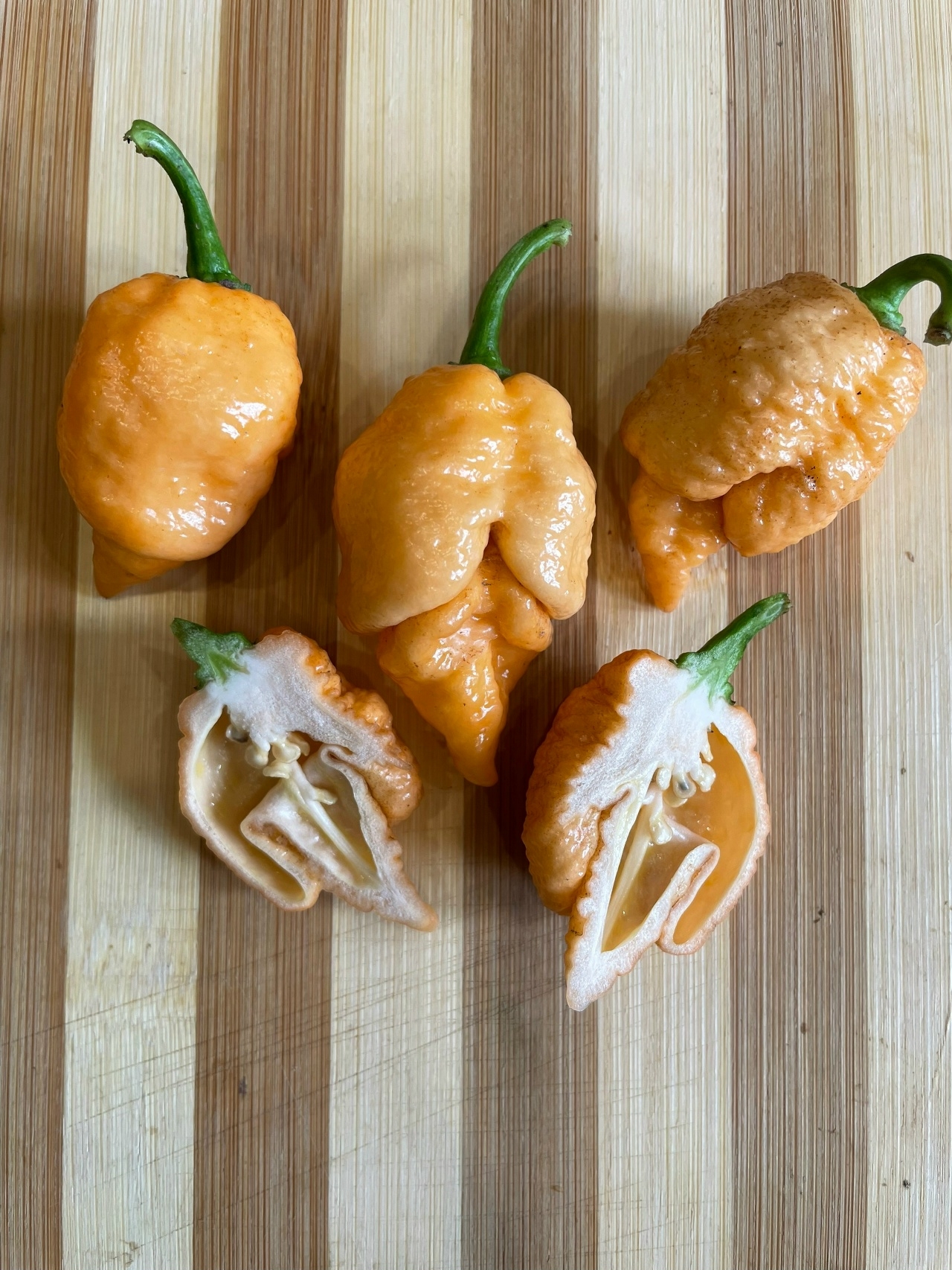 Семена острого перца Star Scream