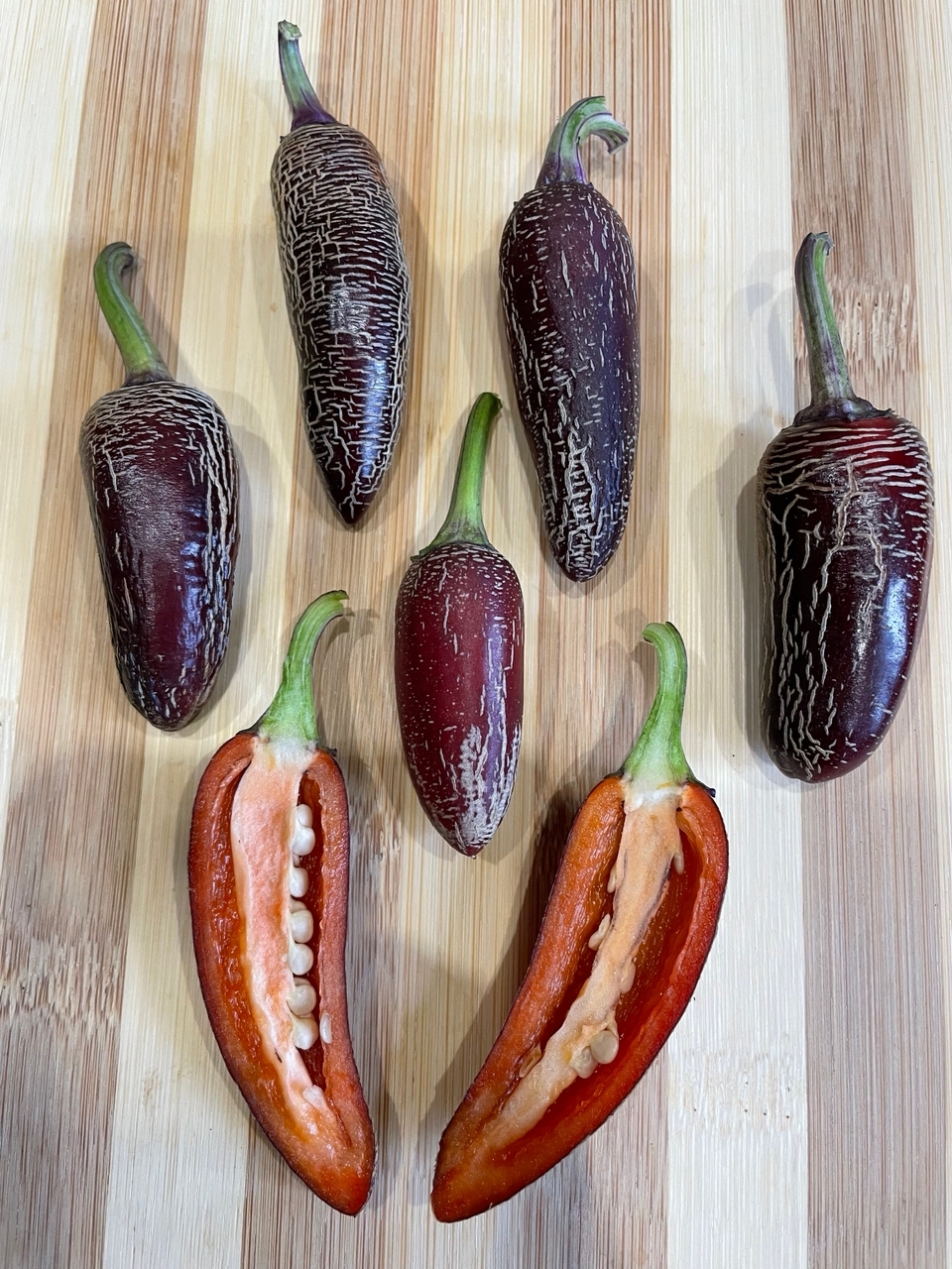 Что вырастает из семян острого перца Dream Catcher X Farmers Market Jalapeno - фото 5