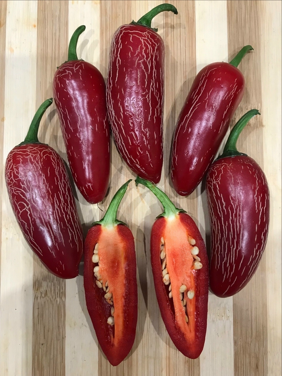 Семена острого перца Jalapeno Ciclon