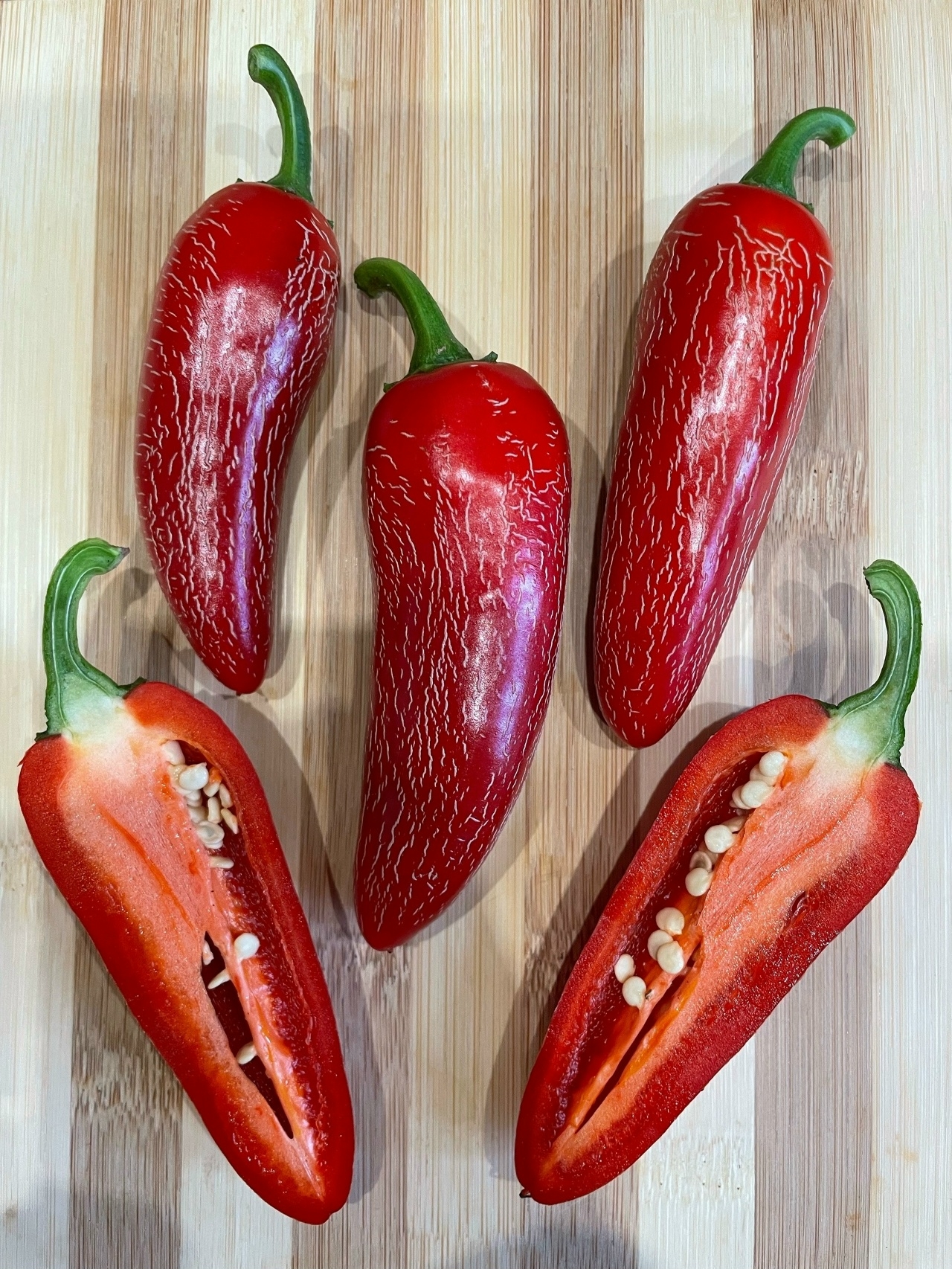 Выращивание острого перца Jalapeno Tajin - фото 2