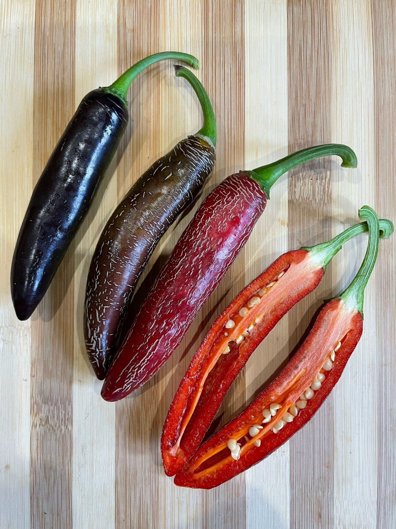 Выращивание острого перца Jalapeno переопыление-1 - фото 2