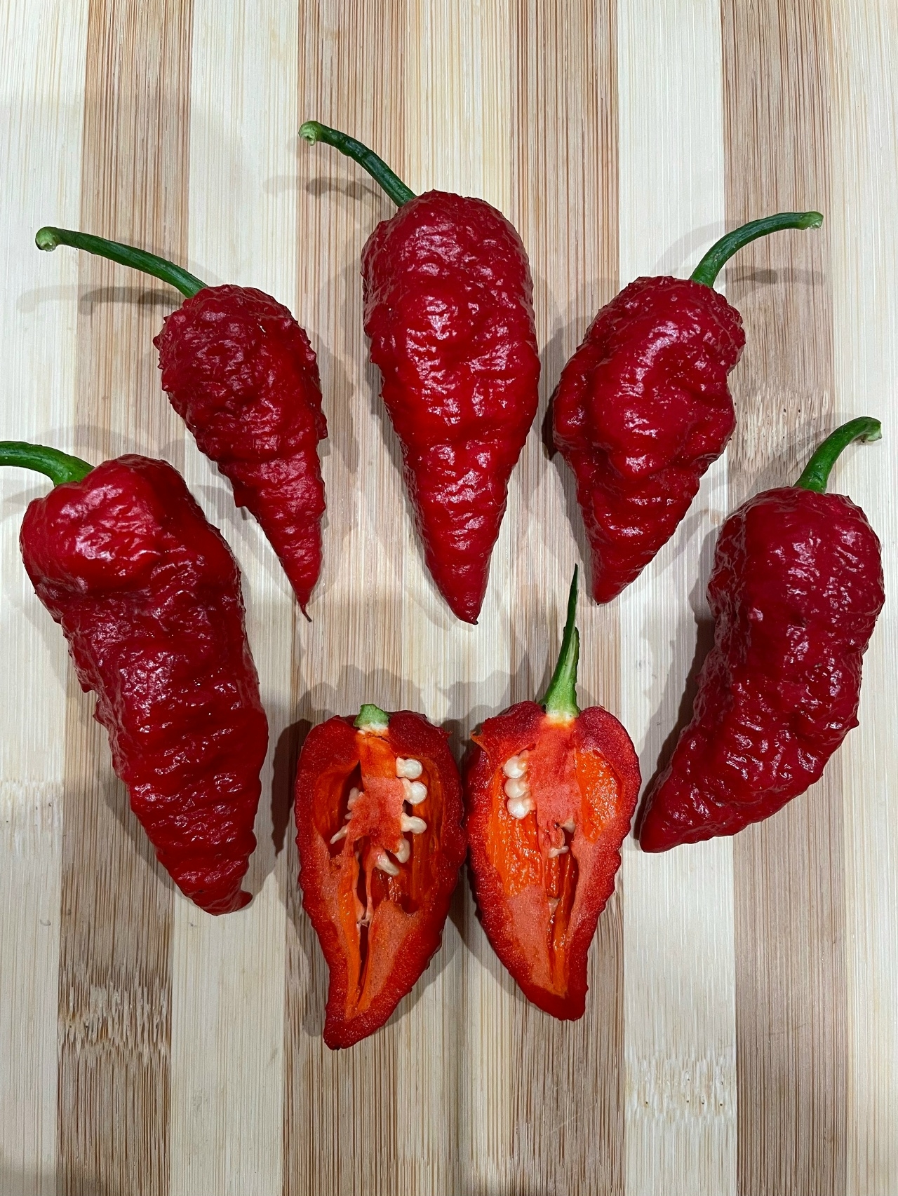 Семена острого перца Шершень