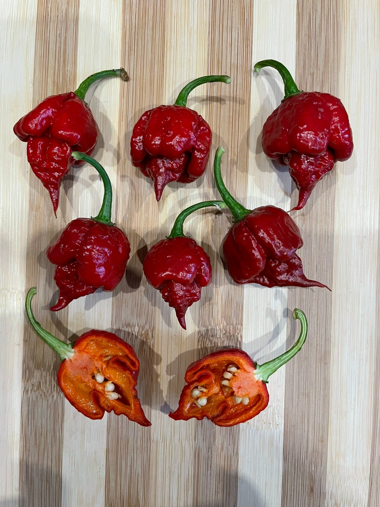 Семена острого перца Carolina Reaper Caramel