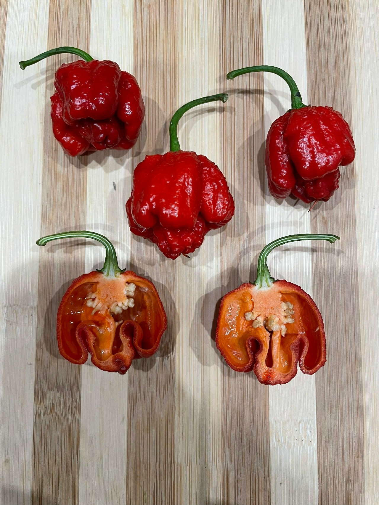 Семена острого перца Dragon's Breath