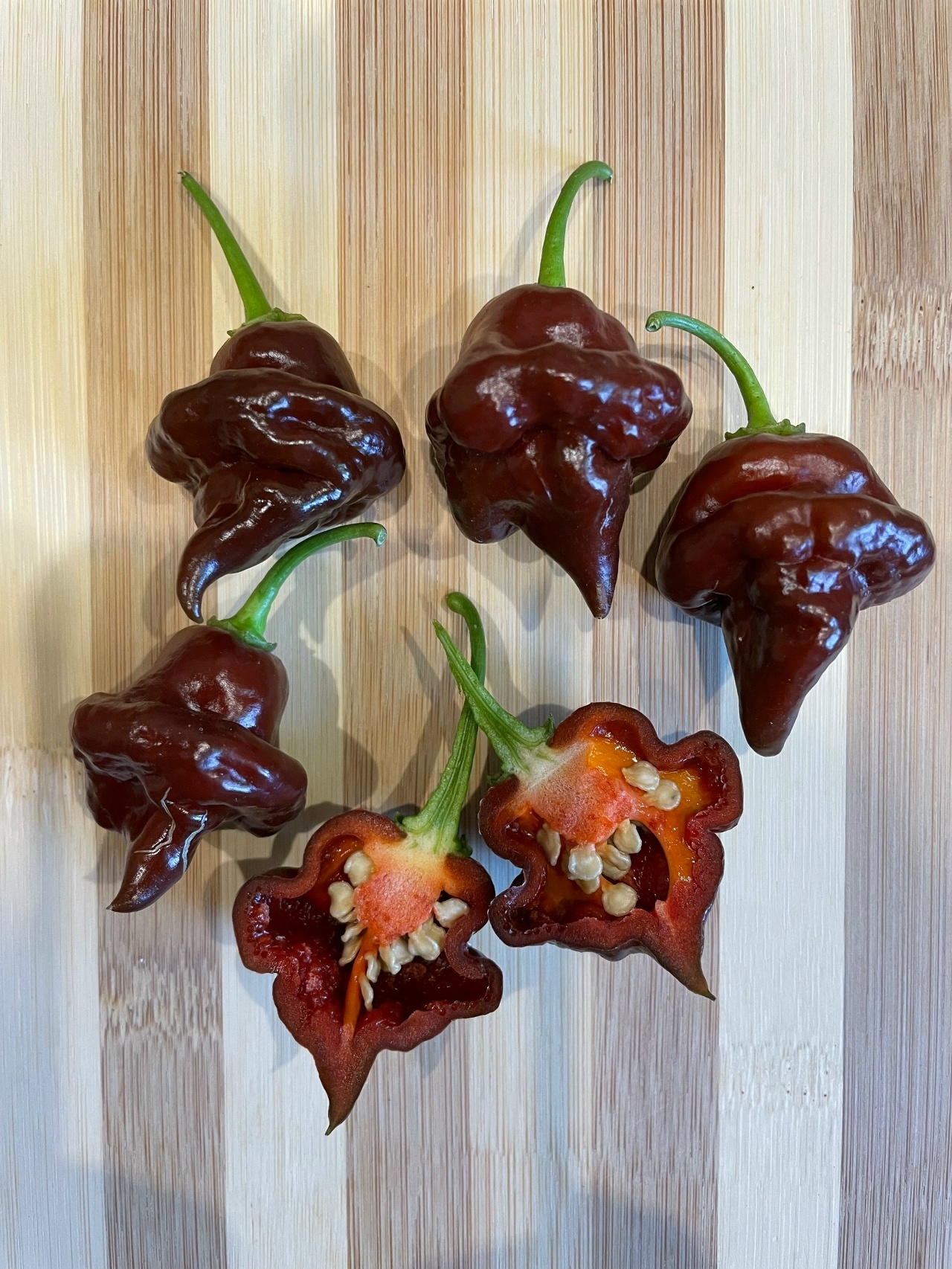 Семена острого перца Chocolate Hand Grenade