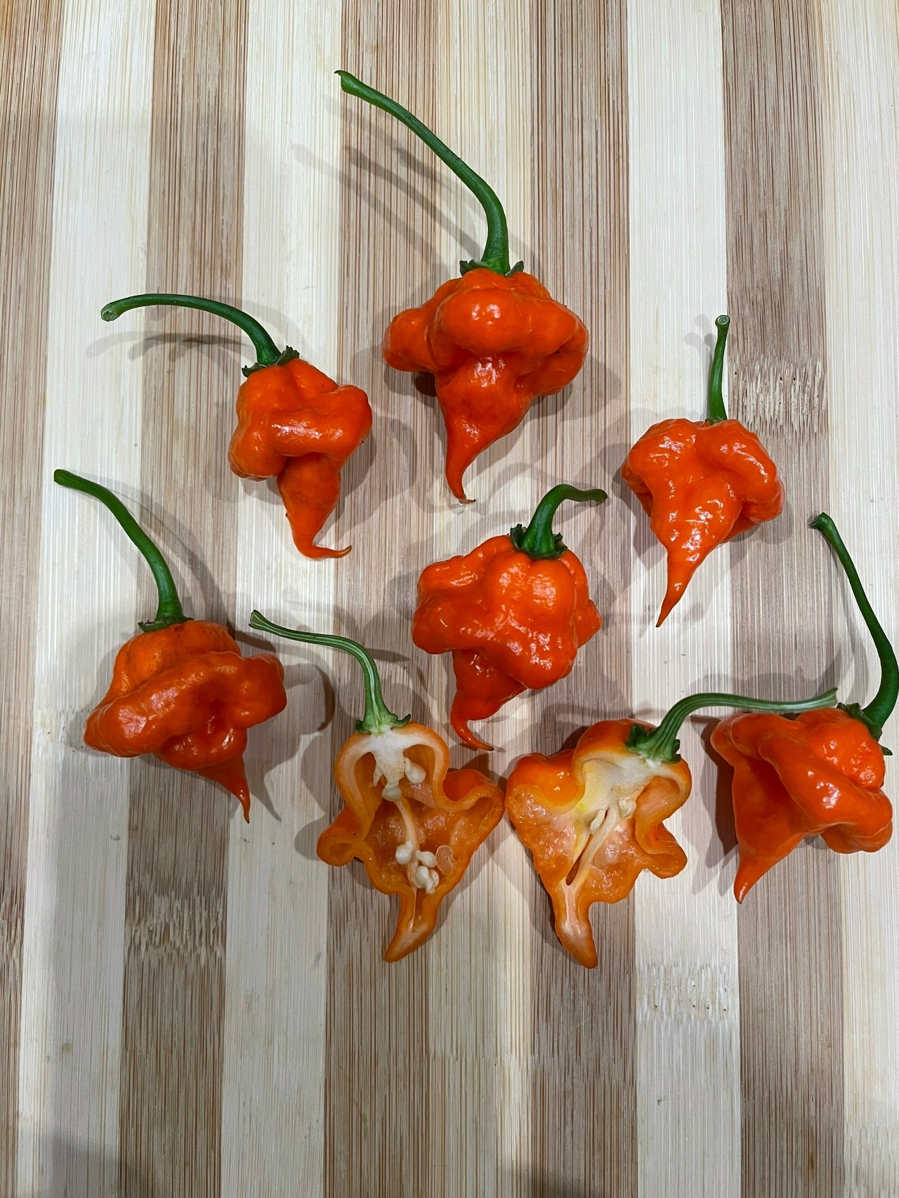 Семена острого перца Orange Ripple