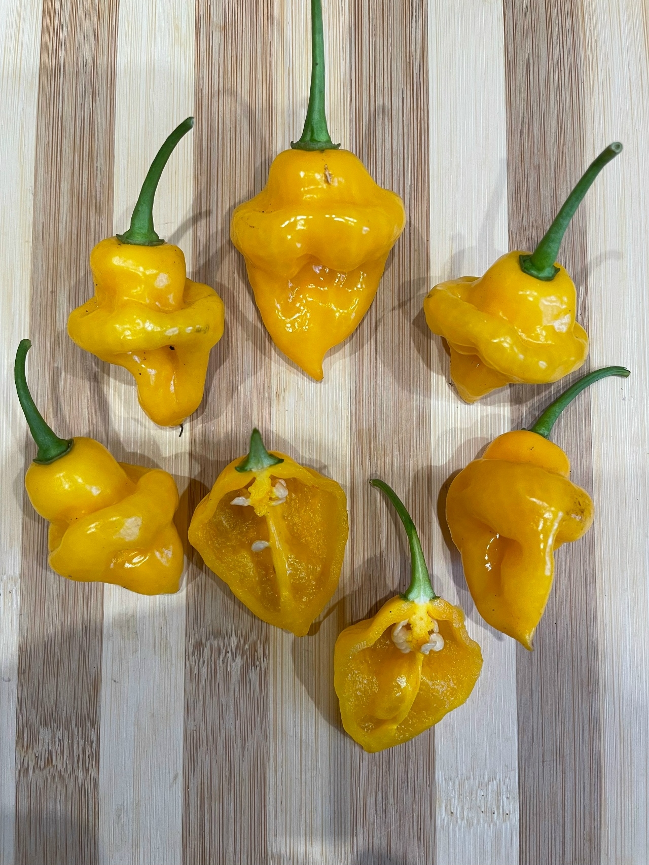 Семена острого перца Trinidad Perfume