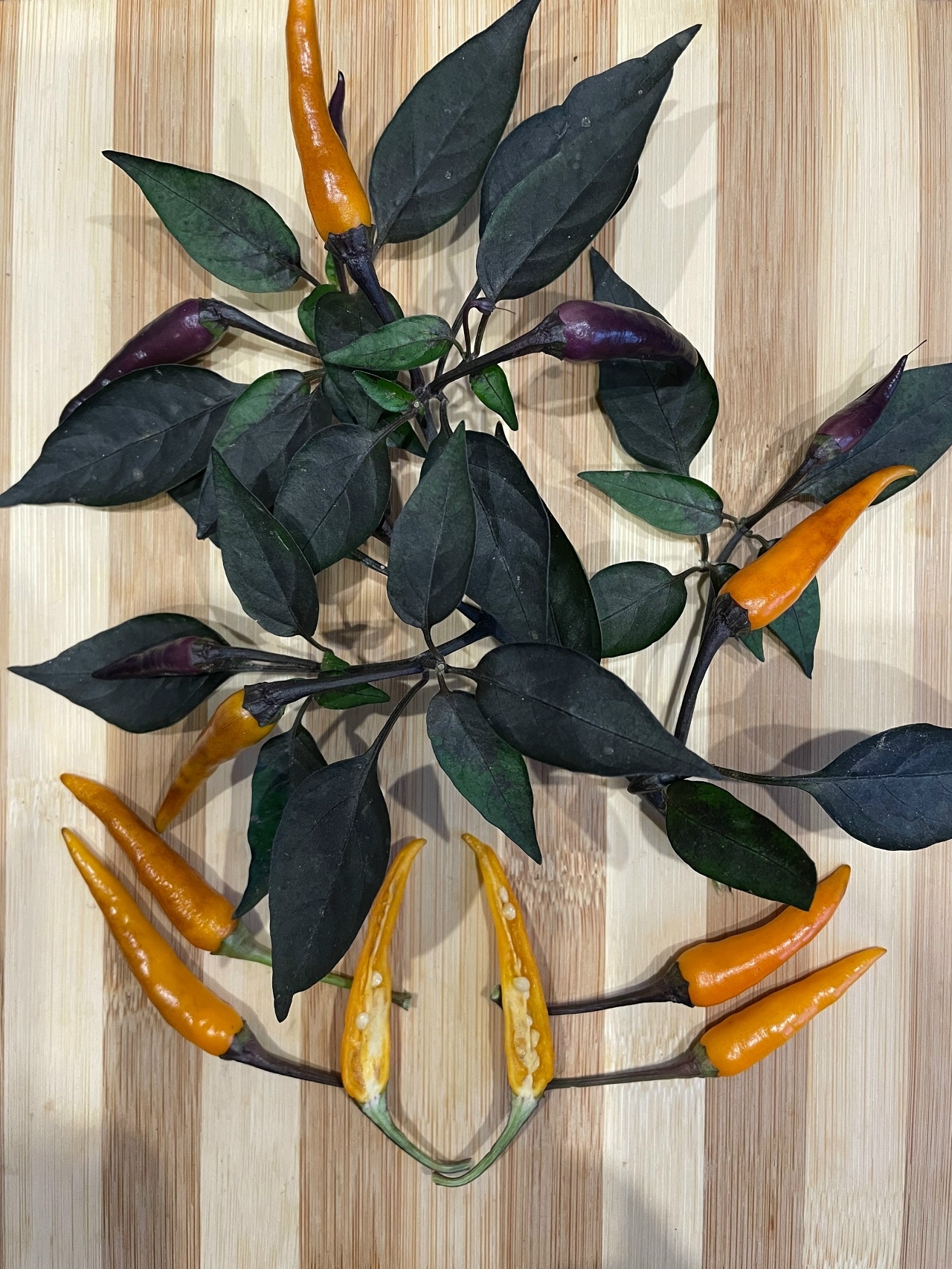 Плоды острого перца Nightcrawler - фото 4