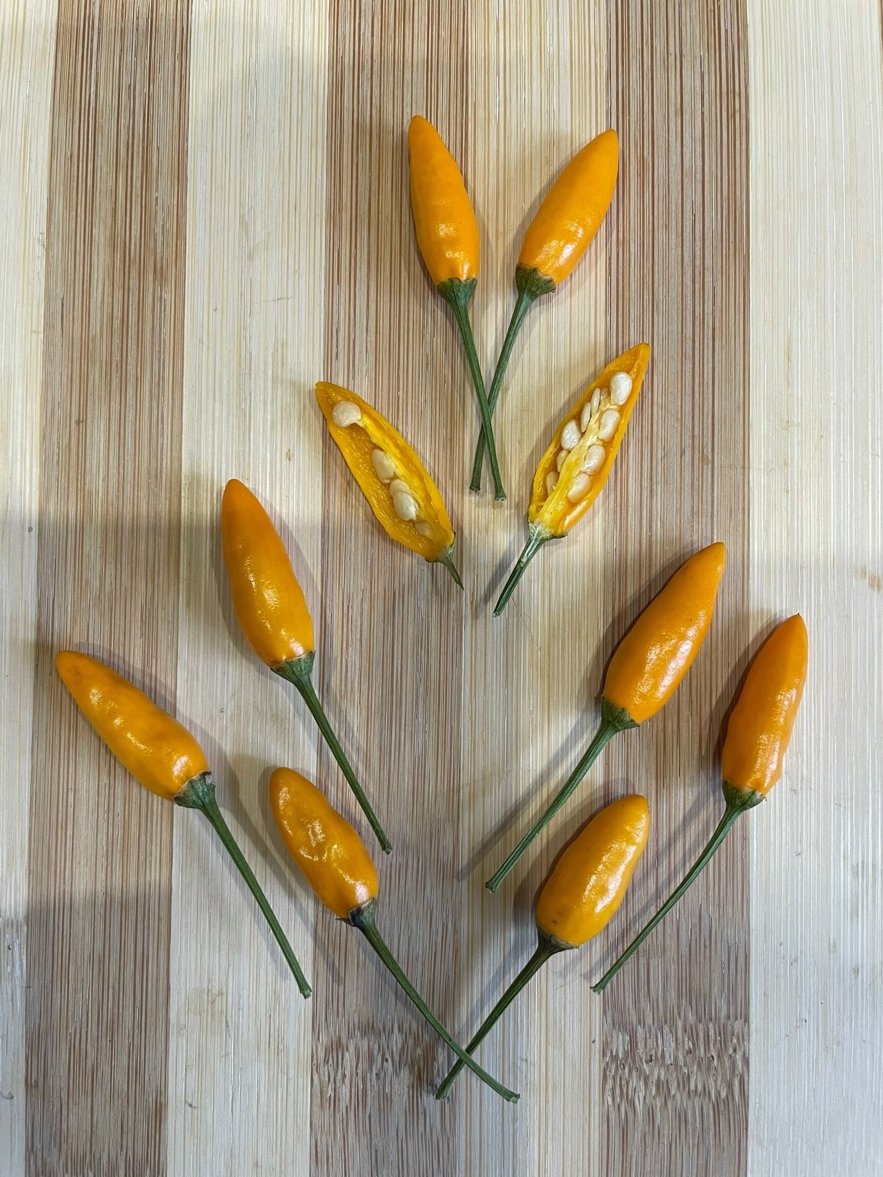 Выращивание острого перца African Pequin Birds Eye Yellow - фото 2