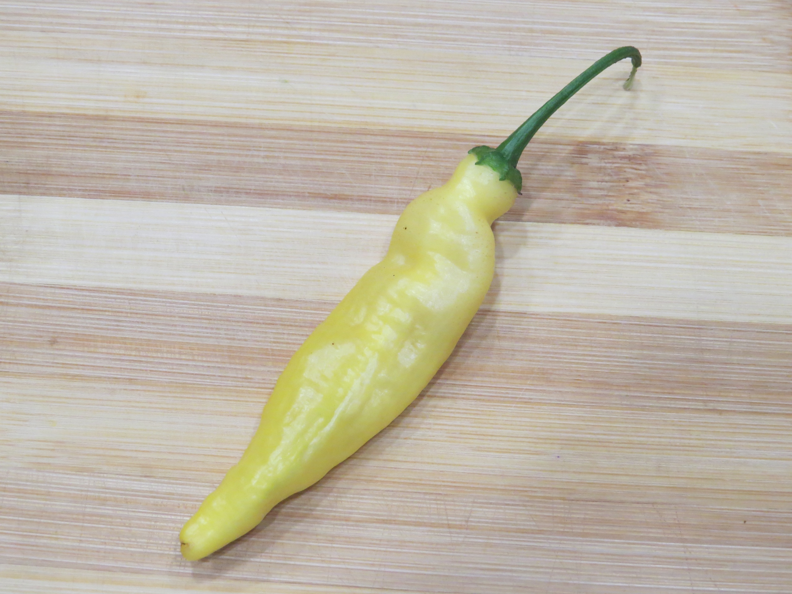 Выращивание острого перца Aji Pineapple - фото 2