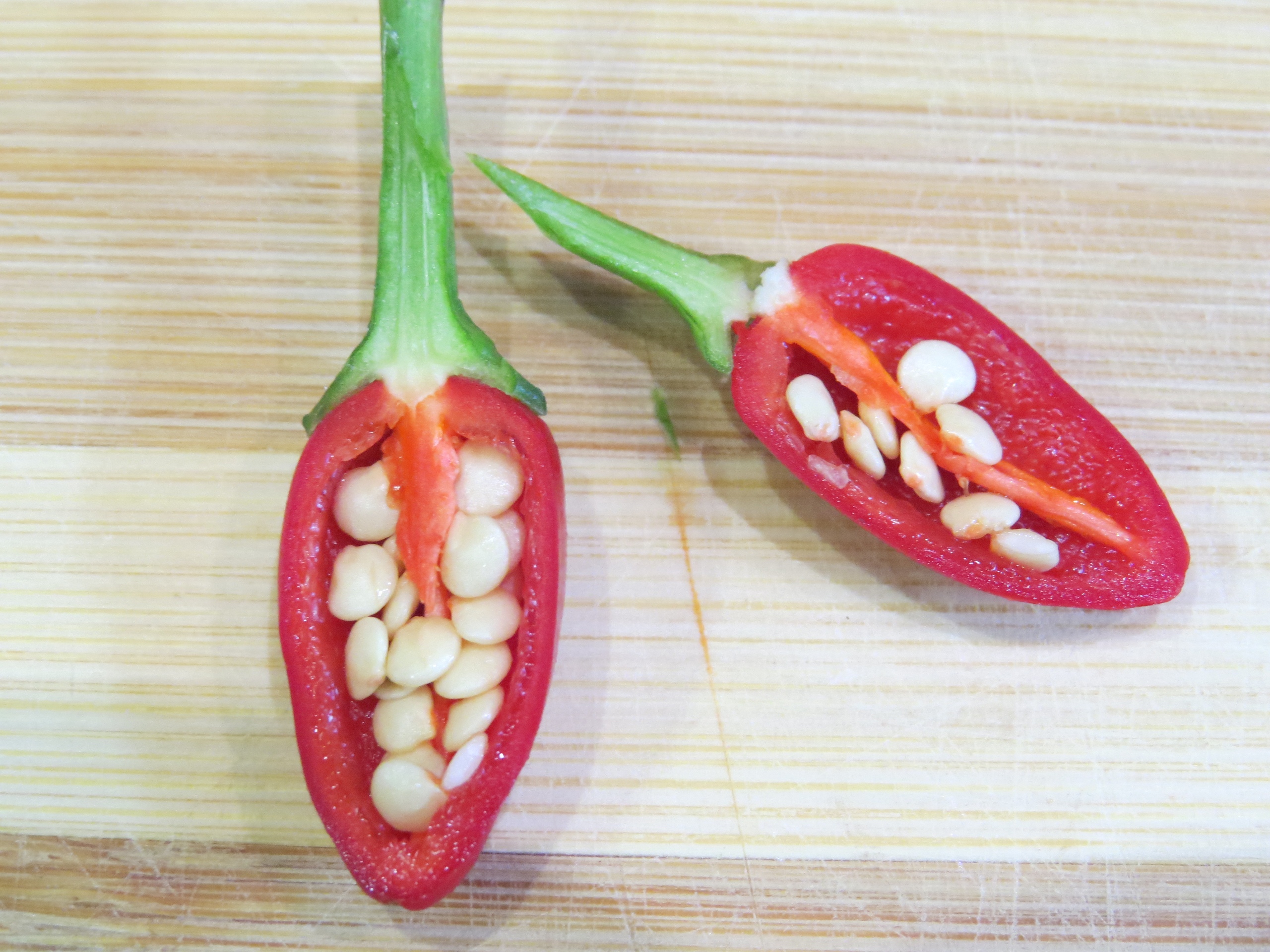 Выращивание острого перца Птичий глаз - фото 2