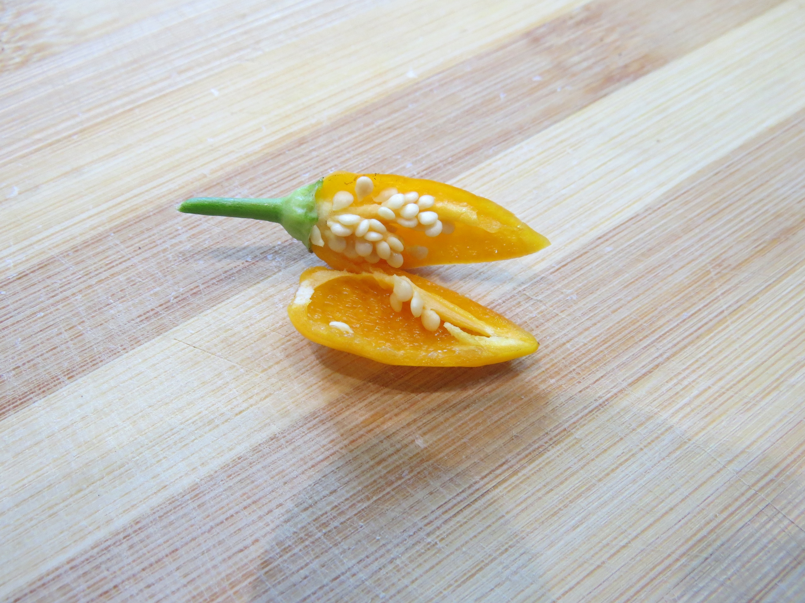 Что вырастает из семян острого перца Северное сияние - фото 5