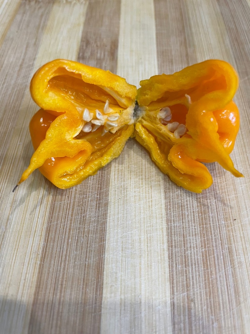 Плоды острого перца Carolina Reaper Yellow - фото 4