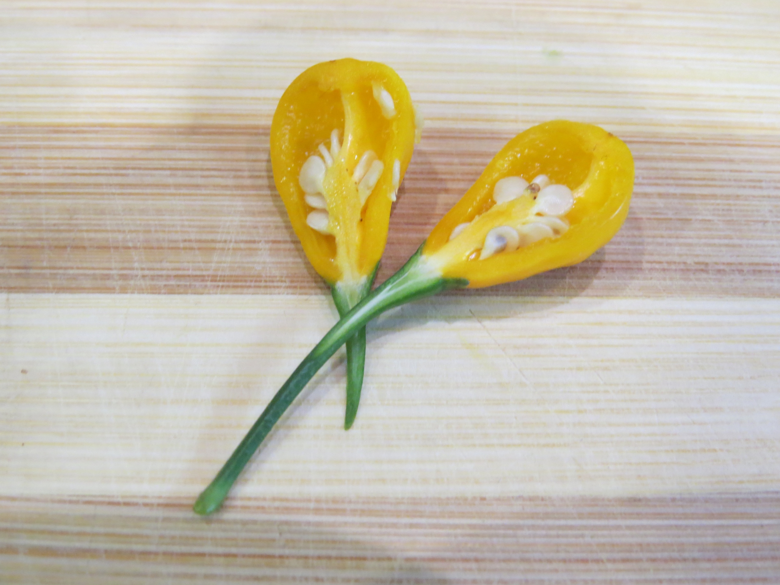 Что вырастает из семян острого перца Aji Charapita Гибрид - фото 5