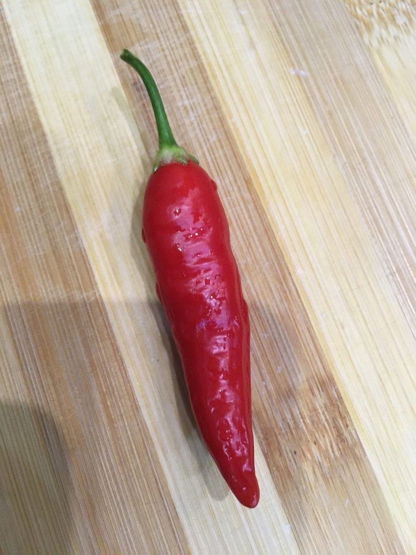 Сорт острого перца Aji Omnicolor (Аджи Разноцветный) - фото 3