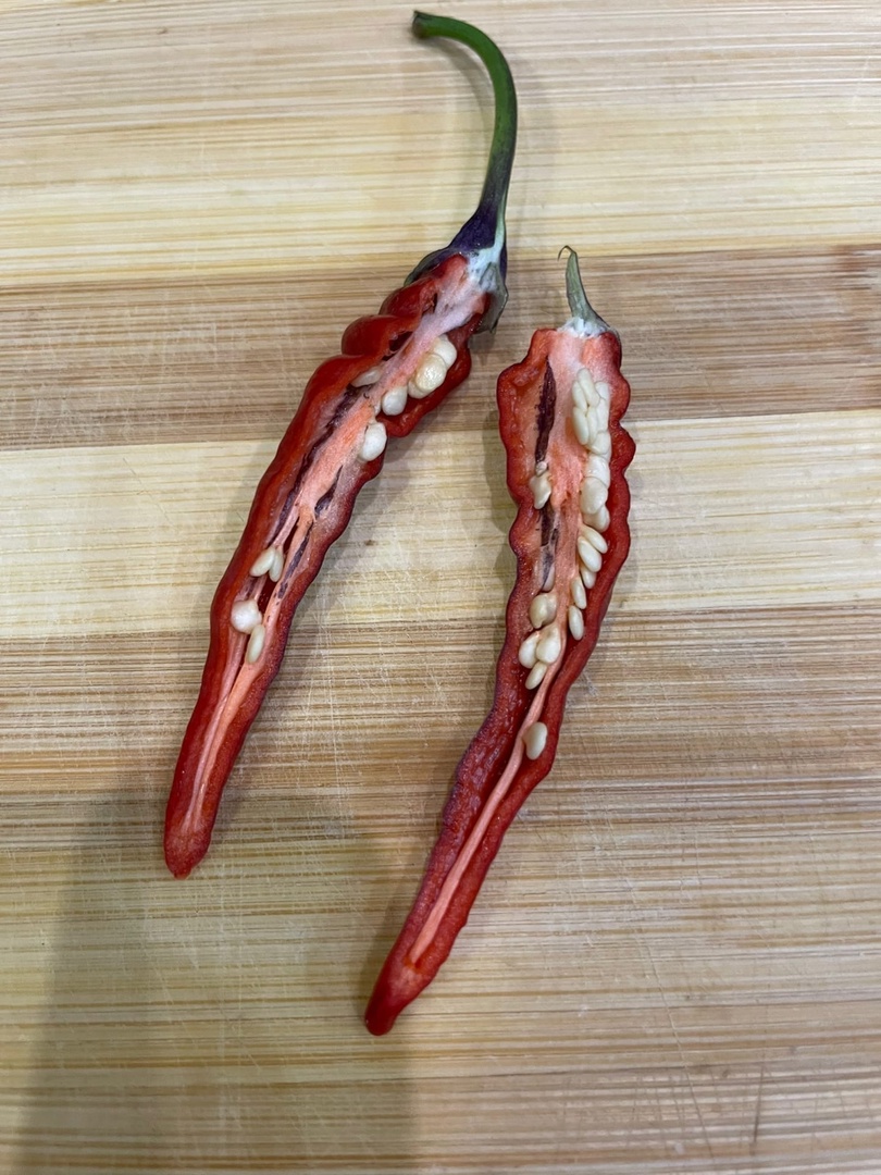 Сорт острого перца NuMex April Fool's Day (День дурака) - фото 3