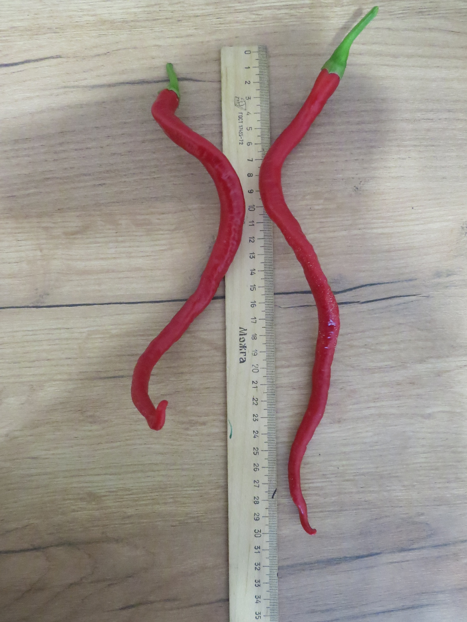 Сорт острого перца Кайенский длинный Джо (Joe's Long Cayenne) - фото 3