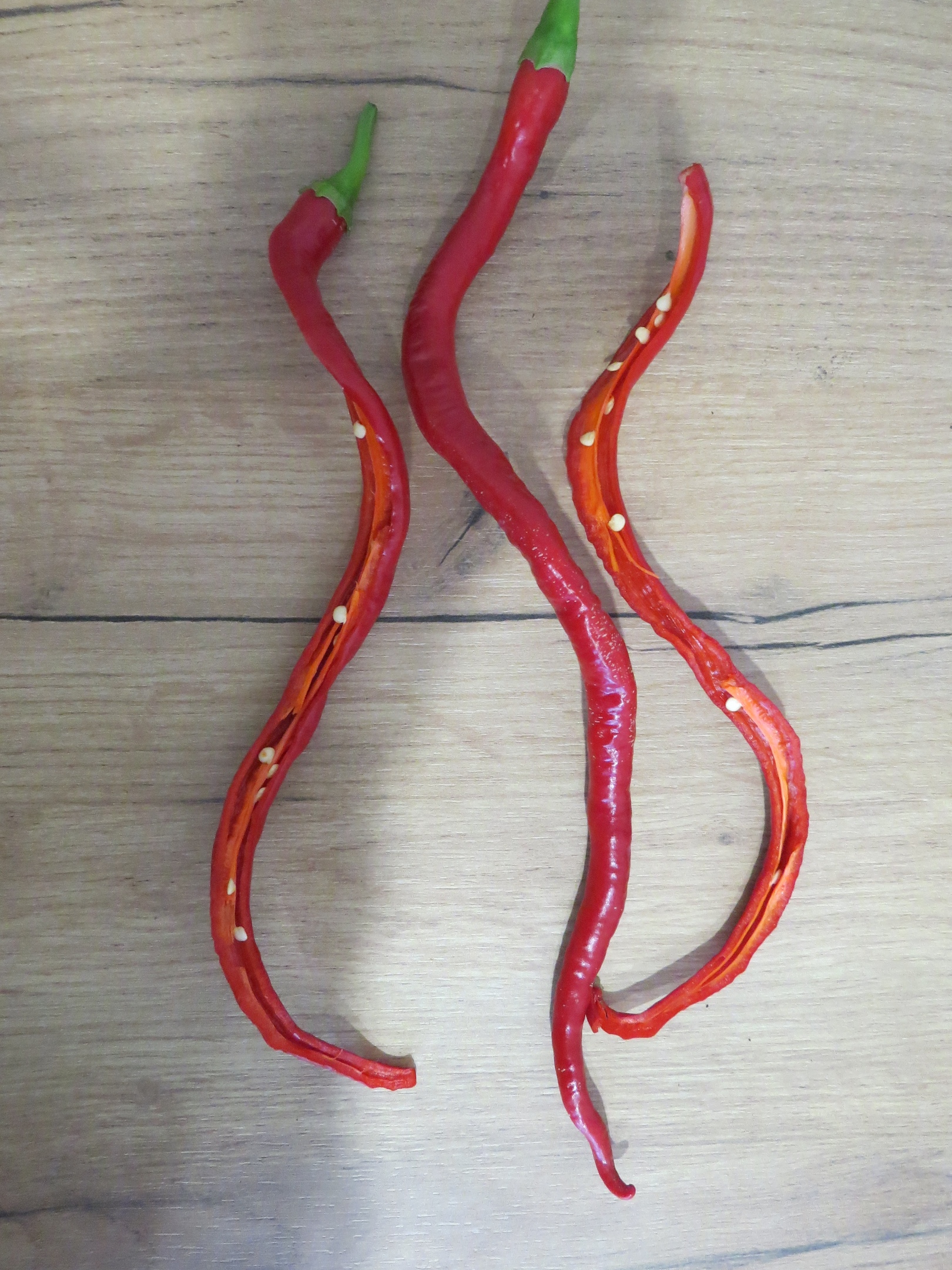 Плоды острого перца Кайенский длинный Джо (Joe's Long Cayenne) - фото 4