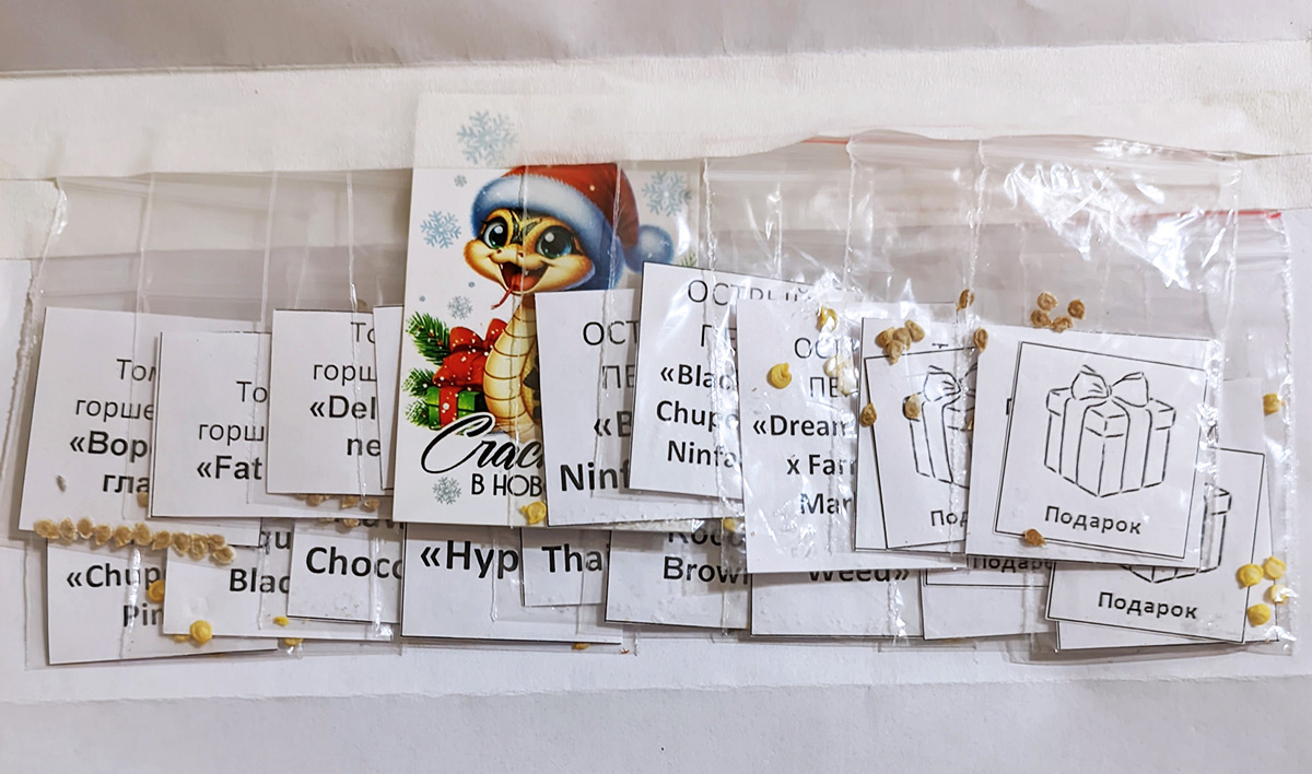 Семена и подарки от магазина «Жизнь острых перцев» (Ольга)